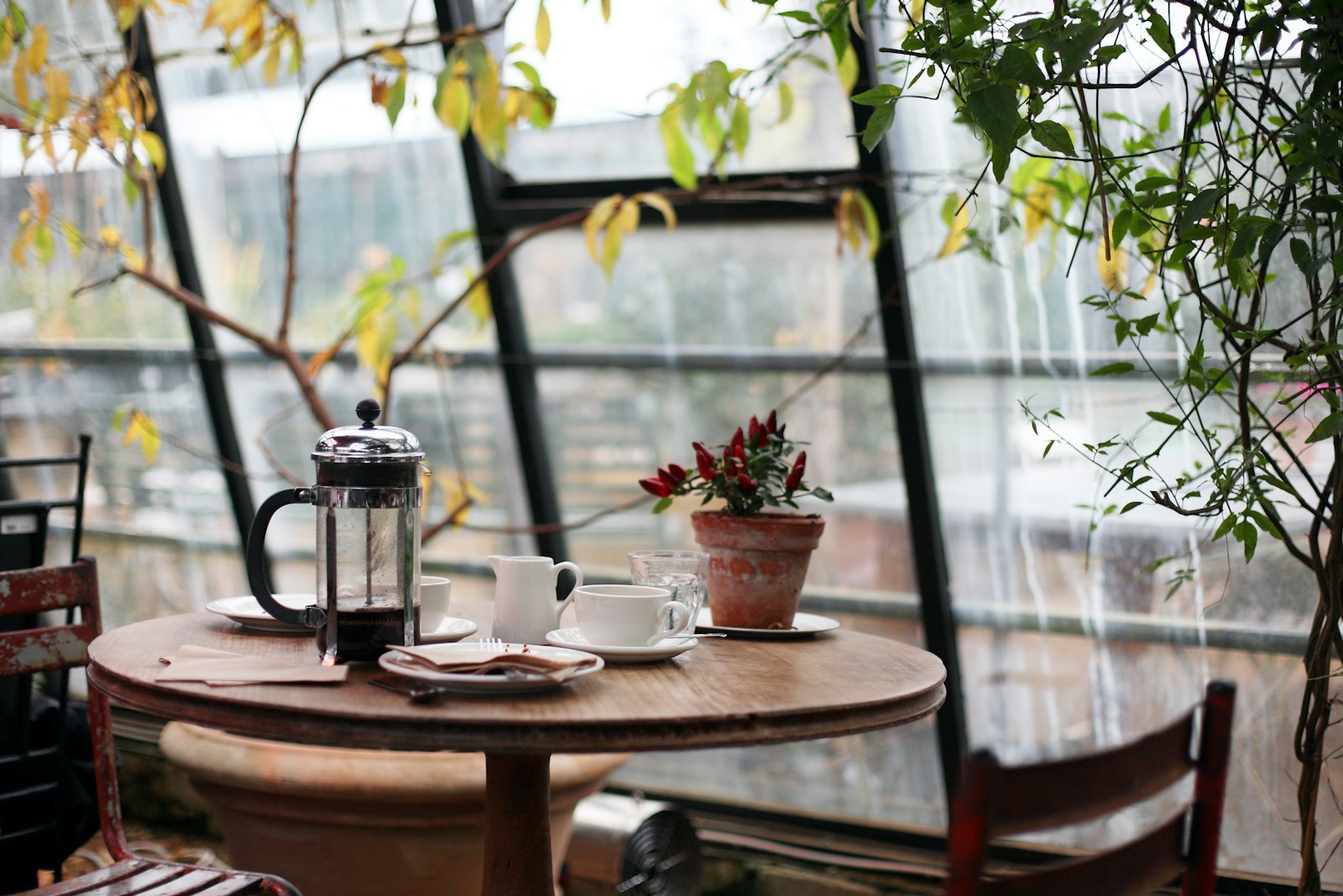 Restoran Kafe WordPress Teması demo görseli